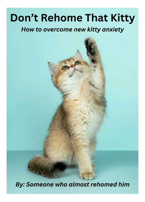 How to Overcome New Kitty Anxiety